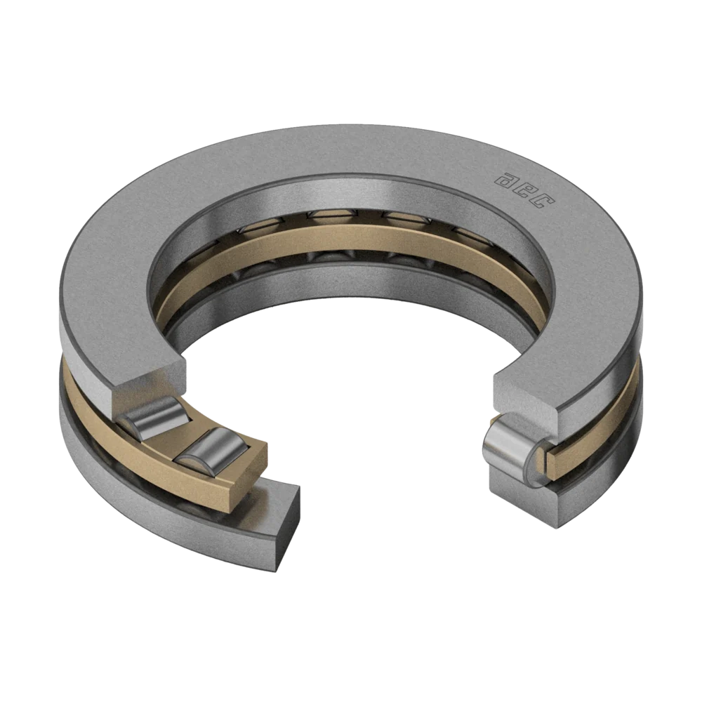 Cuscinetti Assiali a Rulli Cilindrici