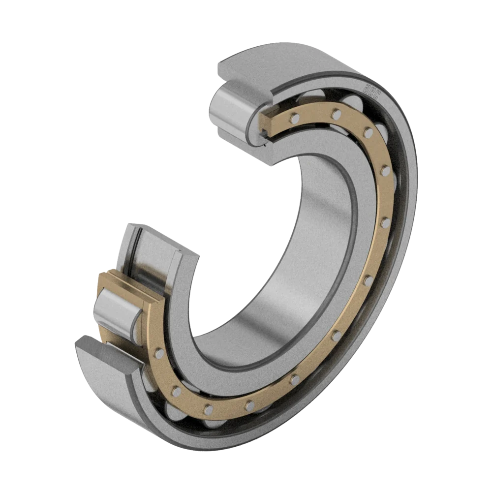 Cuscinetti a Precisione Elevata a Rulli Cilindrici